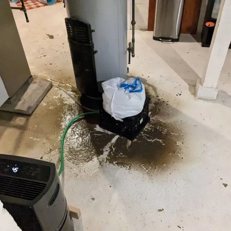 Sewage Backup Cleanup Service in Kahoka, MO